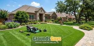 Lawn Care Service Dallas TX: A Complete Guide to Maintaining a Healthy and Beautiful Lawn
