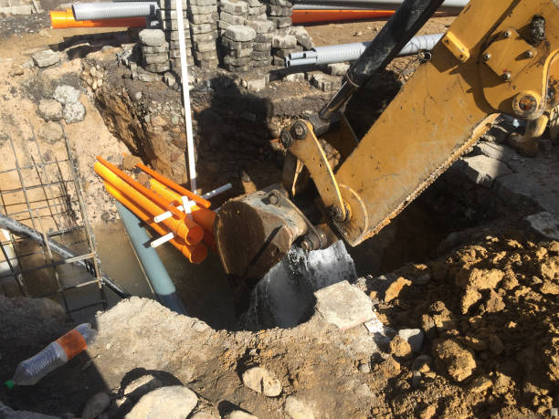 Moling services Sussex