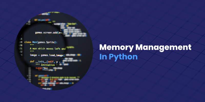 Python Memory Management: Strategies for Developers