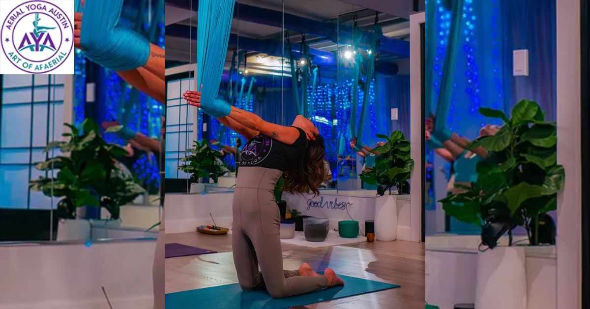 Aerial Yoga Hammock