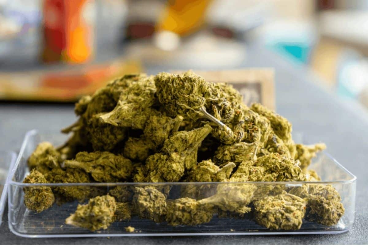 buy weed shake online