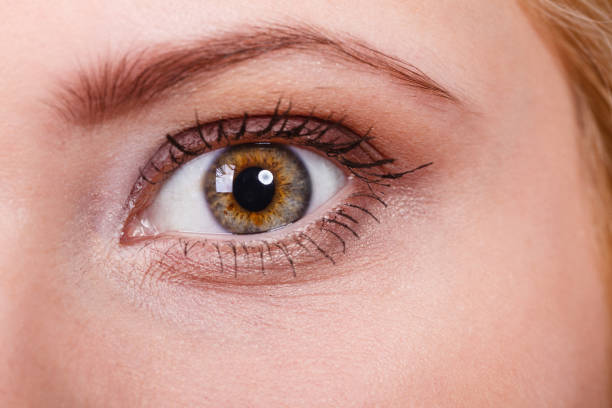 Can Eyelid Surgery Correct Heavy Eyelids