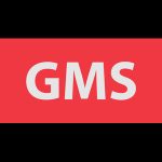 Gulf Marine Services PLC