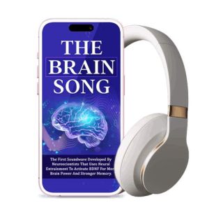 TheBrainSong