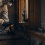 mold-remediation-timeline-home-removal-process